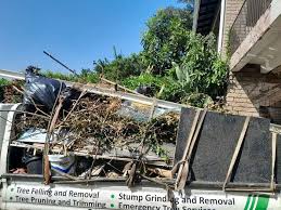 Best Construction Debris Removal  in Buena Vista, GA